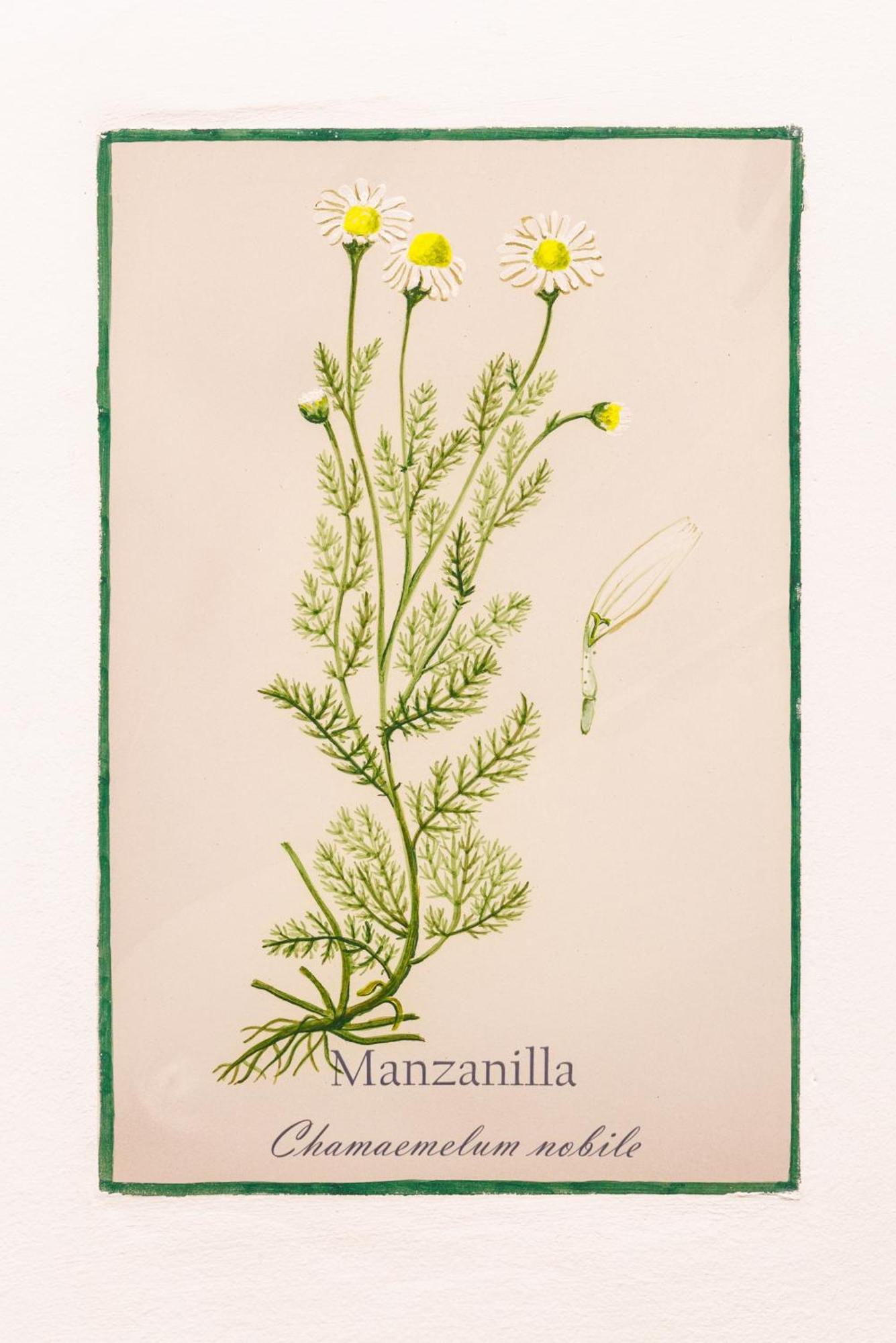 Arte De Cozina Hotel อันเตเกรา ภายนอก รูปภาพ
